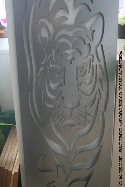 tigr tigr 400x600 Кролик вместо Тигра